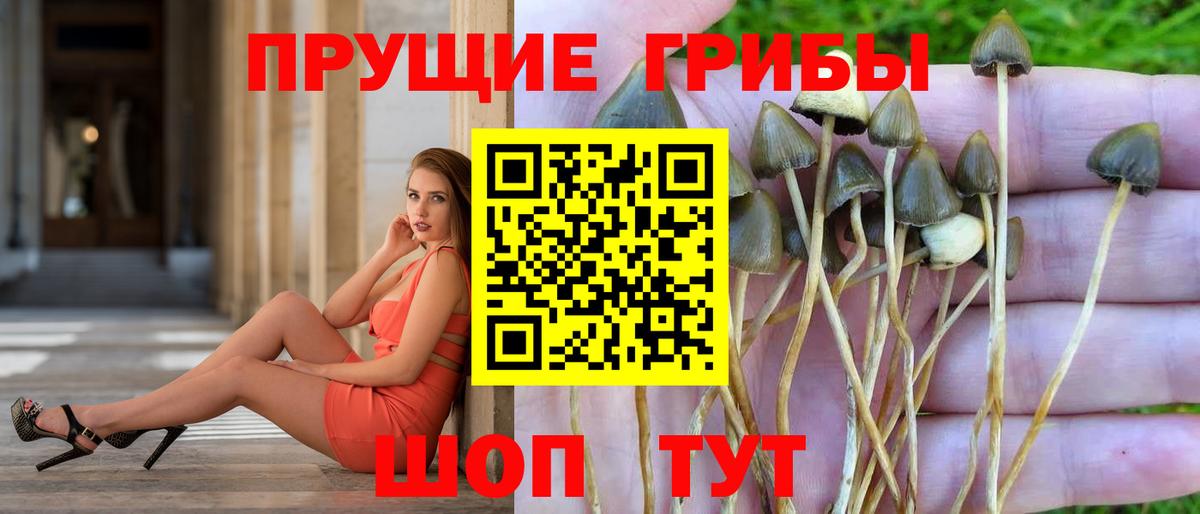 Кубинка  Галлюциногенные грибы мухоморы  Галлюциногенные грибы ЛСД  Вход с VPN 